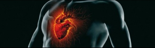 l-ecocardiografia-tridimensionale-aspetti-tecnici-e-metodologia